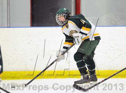 Thumbnail 3 in Hamden vs. Notre Dame-Fairfield (Carrano Cup Quarterfinal) photogallery.