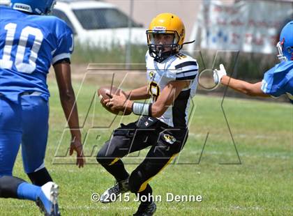 Thumbnail 1 in Raton @ McCurdy photogallery.