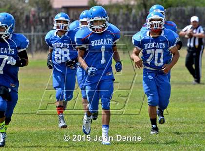 Thumbnail 2 in Raton @ McCurdy photogallery.