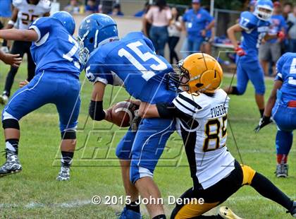 Thumbnail 1 in Raton @ McCurdy photogallery.