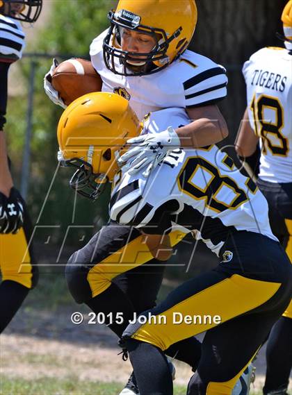Thumbnail 3 in Raton @ McCurdy photogallery.