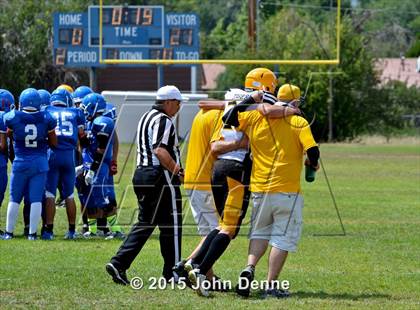Thumbnail 1 in Raton @ McCurdy photogallery.