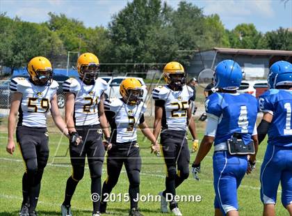Thumbnail 1 in Raton @ McCurdy photogallery.