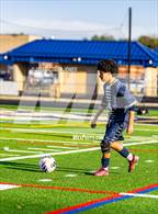 Photo from the gallery "Gar-Field @ Hylton"