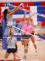 Photo from the gallery "Colony @ Los Altos"