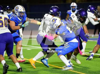 Thumbnail 3 in Durango @ Sierra Vista (4A State Football Playoffs) photogallery.