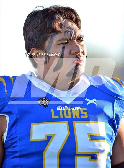 Thumbnail 3 in Durango @ Sierra Vista (4A State Football Playoffs) photogallery.