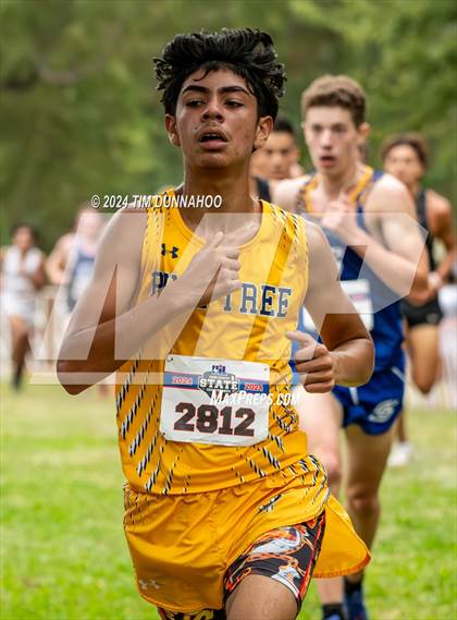 Thumbnail 2 in UIL 4A Boys Cross Country Finals photogallery.