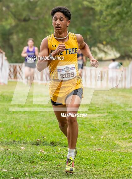 Thumbnail 1 in UIL 4A Boys Cross Country Finals photogallery.