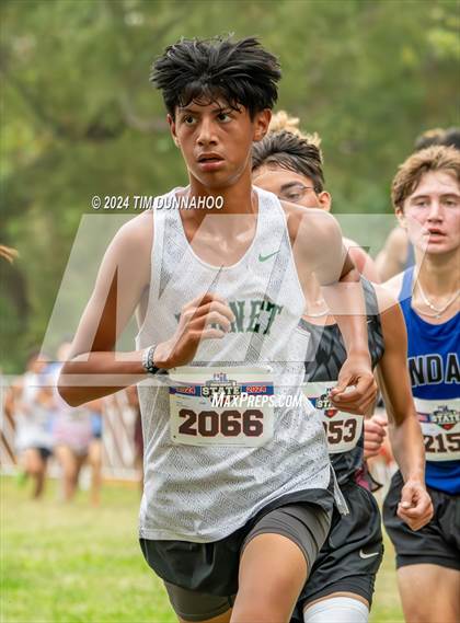Thumbnail 2 in UIL 4A Boys Cross Country Finals photogallery.
