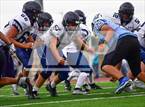 Photo from the gallery "Columbine @ Vista Ridge"