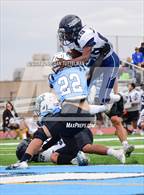 Photo from the gallery "Columbine @ Vista Ridge"