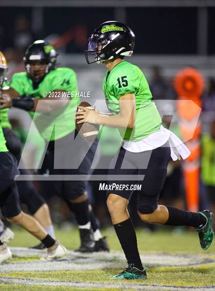 Thumbnail 1 in Lake Cormorant @ DeSoto Central photogallery.