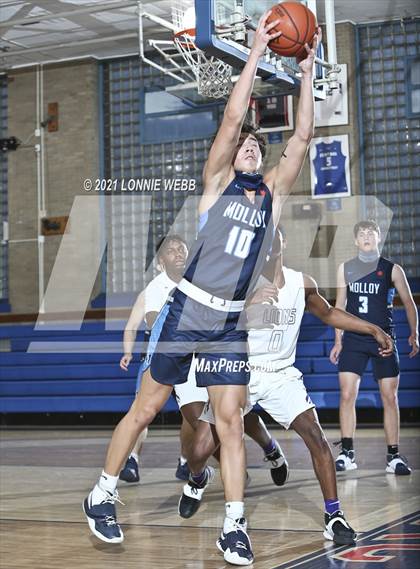 Thumbnail 2 in Bishop Loughlin vs Archbishop Molloy (CHSAA Spring Basketball Tournament) photogallery.