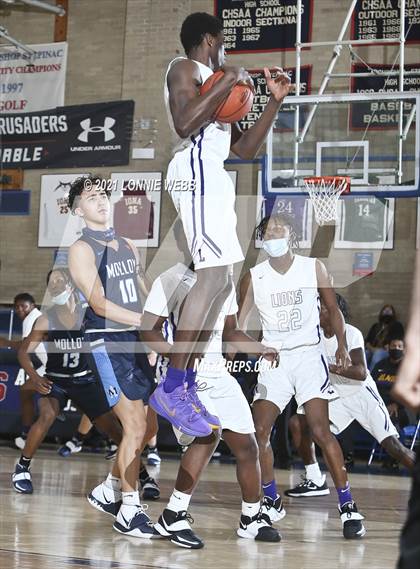 Thumbnail 2 in Bishop Loughlin vs Archbishop Molloy (CHSAA Spring Basketball Tournament) photogallery.