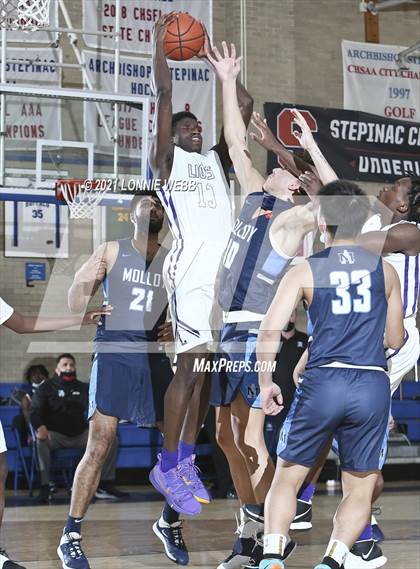 Thumbnail 2 in Bishop Loughlin vs Archbishop Molloy (CHSAA Spring Basketball Tournament) photogallery.