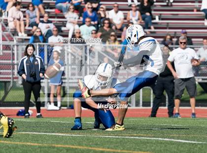 Thumbnail 3 in Grand Island @ Kenmore East photogallery.
