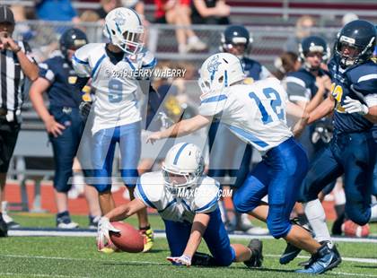 Thumbnail 2 in Grand Island @ Kenmore East photogallery.