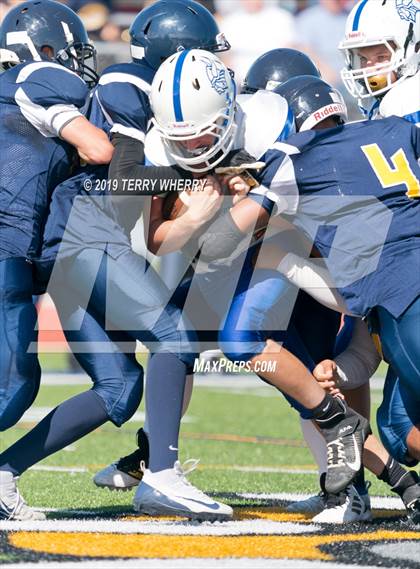 Thumbnail 3 in Grand Island @ Kenmore East photogallery.