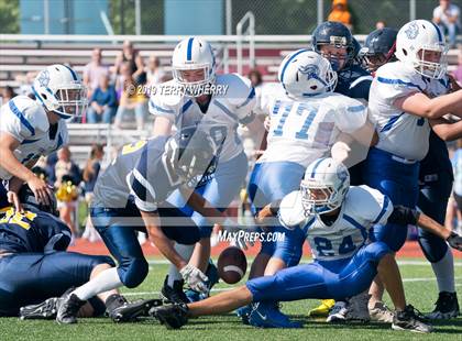 Thumbnail 3 in Grand Island @ Kenmore East photogallery.