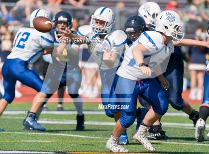 Thumbnail 3 in Grand Island @ Kenmore East photogallery.