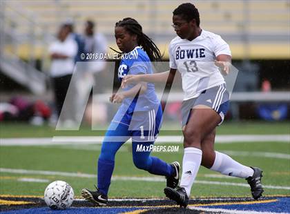 Thumbnail 3 in Bowie @ Wise photogallery.