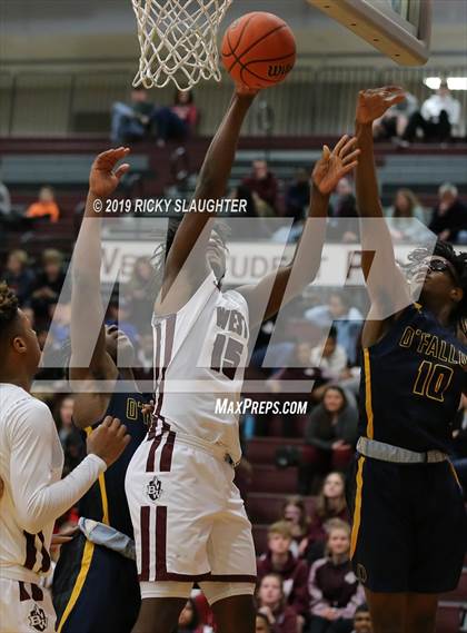 Thumbnail 1 in O'Fallon @ Belleville West (IHSA 1st Round Playoff) photogallery.