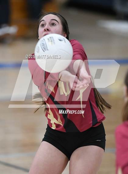 Thumbnail 2 in Ponderosa @ Highlands Ranch photogallery.