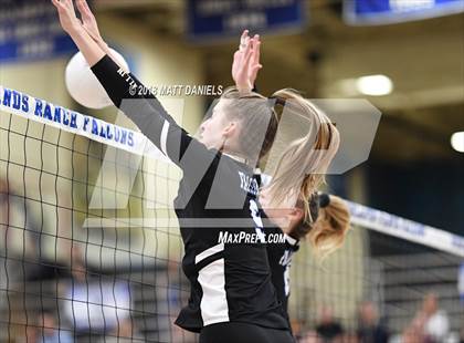 Thumbnail 2 in Ponderosa @ Highlands Ranch photogallery.