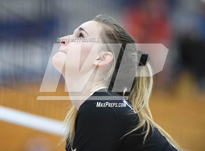 null - Photo 01