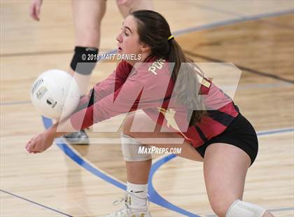 Thumbnail 3 in Ponderosa @ Highlands Ranch photogallery.
