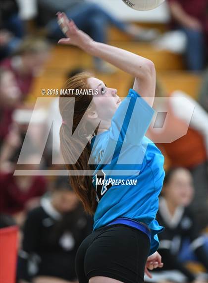 Thumbnail 2 in Ponderosa @ Highlands Ranch photogallery.