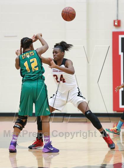 Thumbnail 1 in DeSoto @ Cedar Hill photogallery.