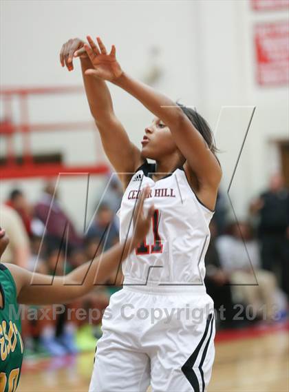 Thumbnail 1 in DeSoto @ Cedar Hill photogallery.