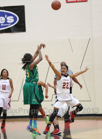 Thumbnail 1 in DeSoto @ Cedar Hill photogallery.