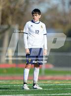 Photo from the gallery "Gregori @ Franklin"