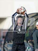 Photo from the gallery "Gregori @ Franklin"