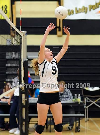Thumbnail 3 in Placer @ Pioneer (CIF SJS D3 Playoffs) photogallery.