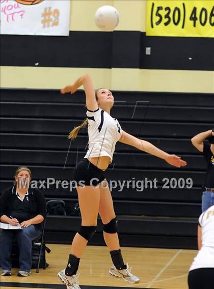 Thumbnail 1 in Placer @ Pioneer (CIF SJS D3 Playoffs) photogallery.