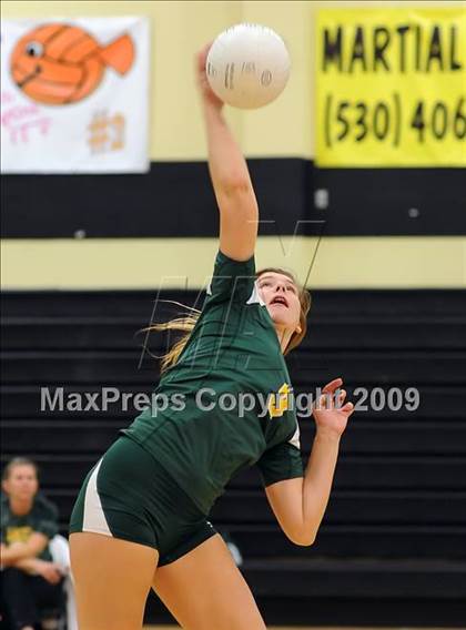 Thumbnail 2 in Placer @ Pioneer (CIF SJS D3 Playoffs) photogallery.