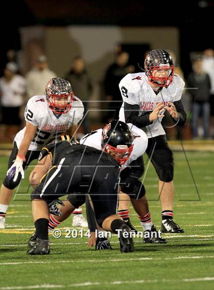 Thumbnail 1 in Palos Verdes vs. Ventura (CIF SS Western Final) photogallery.