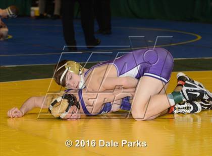 Thumbnail 2 in NYSPHSAA Championships (Division 2 Quarterfinals) photogallery.