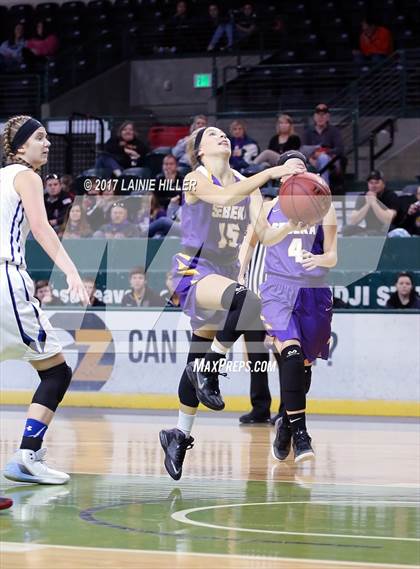 Thumbnail 1 in Walker-Hackensack-Akeley @ Sebeka (Hardwood Showcase) photogallery.