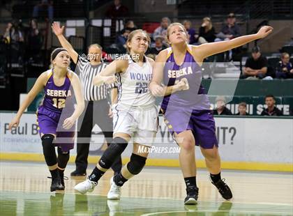 Thumbnail 1 in Walker-Hackensack-Akeley @ Sebeka (Hardwood Showcase) photogallery.