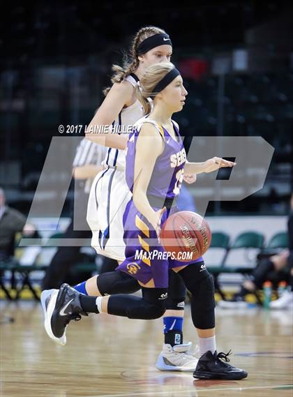 Thumbnail 2 in Walker-Hackensack-Akeley @ Sebeka (Hardwood Showcase) photogallery.