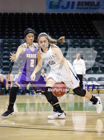Thumbnail 3 in Walker-Hackensack-Akeley @ Sebeka (Hardwood Showcase) photogallery.