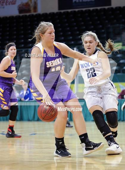 Thumbnail 1 in Walker-Hackensack-Akeley @ Sebeka (Hardwood Showcase) photogallery.