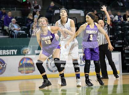 Thumbnail 2 in Walker-Hackensack-Akeley @ Sebeka (Hardwood Showcase) photogallery.