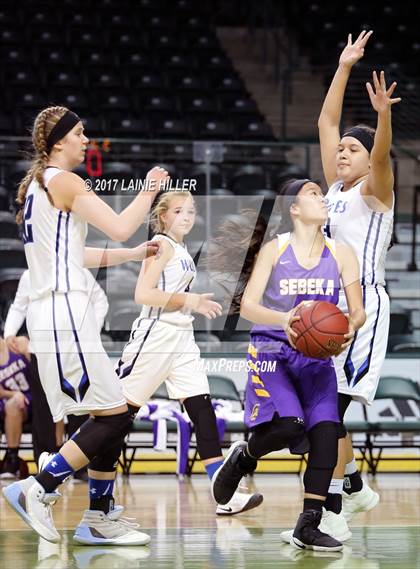 Thumbnail 1 in Walker-Hackensack-Akeley @ Sebeka (Hardwood Showcase) photogallery.