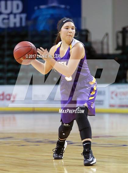 Thumbnail 3 in Walker-Hackensack-Akeley @ Sebeka (Hardwood Showcase) photogallery.